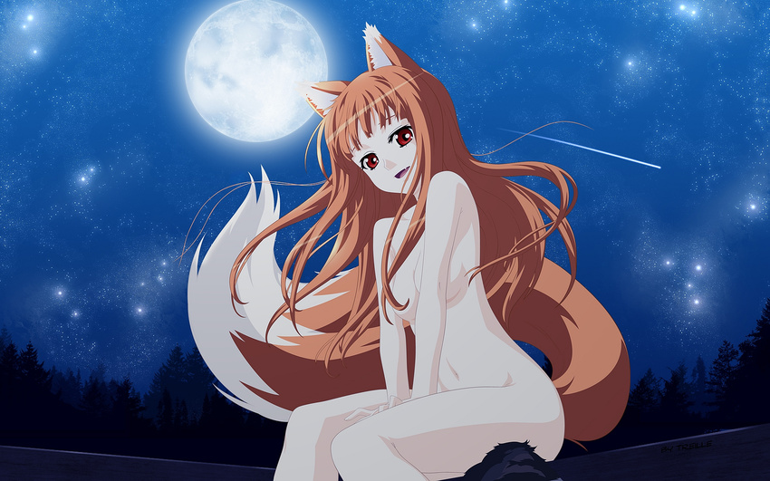 :d animal_ears bangs breasts brown_hair convenient_censoring fang floating_hair forest from_side glowing hair_censor hands_on_lap happy head_tilt highres holo long_hair looking_at_viewer moon moonlight nature navel night night_sky nude official_art okiyumi_kase open_mouth outdoors red_eyes shooting_star sitting sky small_breasts smile solo spice_and_wolf star_(sky) starry_sky tail third-party_edit tree v_arms vector_trace wallpaper widescreen wolf_ears wolf_tail