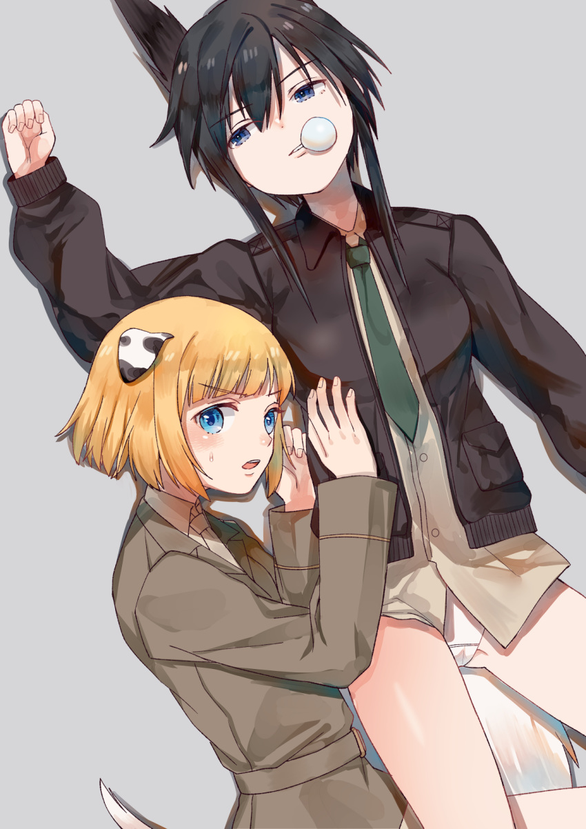 2girls animal_ears bangs black_hair blonde_hair blue_eyes blunt_bangs blush bubble_blowing chewing_gum chirihara dog_ears dominica_s_gentile highres jacket jane_t_godfrey military military_uniform multiple_girls necktie open_mouth panties short_hair simple_background strike_witches:_kurenai_no_majo-tachi sweatdrop tail underwear uniform white_panties world_witches_series