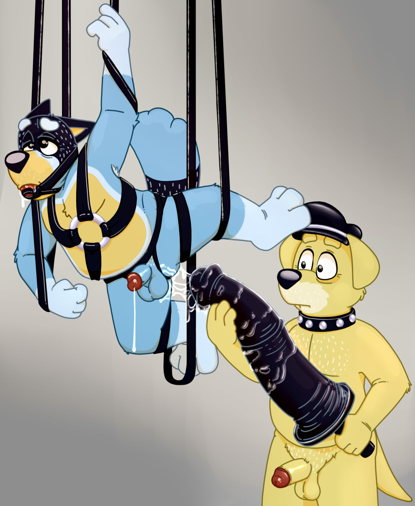 animal_dildo animal_sex_toy anthro ball_gag balls bandit_(bluey) big_dildo canid canine canis dildo domestic_dog duo equine_dildo gag genitals hi_res humanoid_genitalia humanoid_penis male male/male mammal neenya pat_(bluey) penis sex_toy suspension