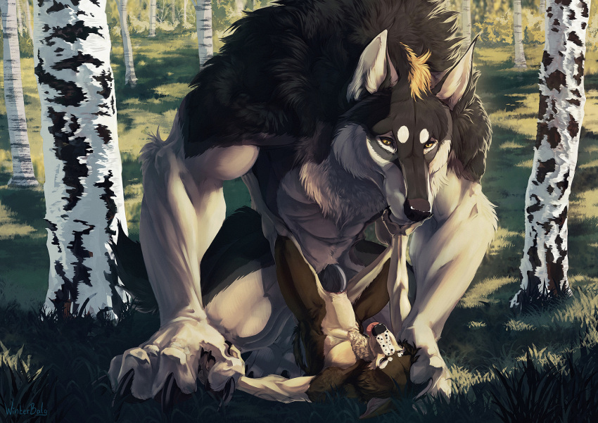 abdominal_bulge andromorph anthro bfw big_hands big_penetration big_penis birch_tree black_body black_claws black_fur black_mane black_nose black_penis blonde_hair brown_body brown_fur brown_nose canid canine canis claws crouching detailed_background domestic_dog duo eye_contact forest fur genitals grass hair hand_holding hand_on_head hand_on_muzzle humanoid_genitalia humanoid_penis intersex intersex/male invalid_tag kiko_(kikonine) looking_at_another lying male male/male mammal mane muscular muscular_anthro muscular_male nature nude on_back outside penetration penis piledriver_position plant sex size_difference size_play smaller_penetrated spots spotted_body spotted_fur spread_legs spreading tight_fix tongue tongue_out tree upside_down vaginal vaginal_penetration vein veiny_penis were werecanid werecanine werewolf white_body white_fur winterbalg wolf yellow_eyes