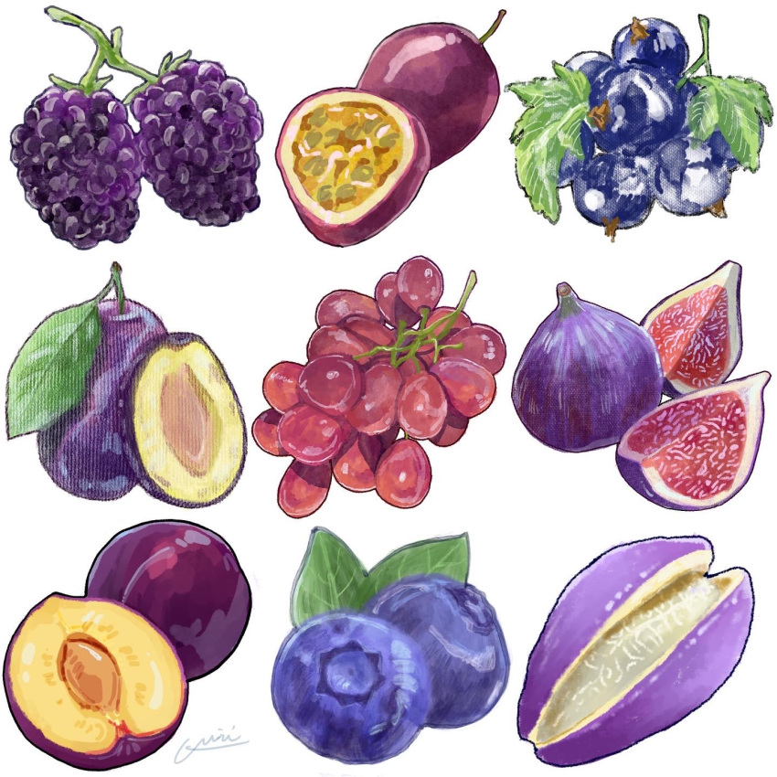 berry blackberry_(fruit) blueberry eggplant food food_focus fruit grapes highres miri_illust no_humans original simple_background white_background