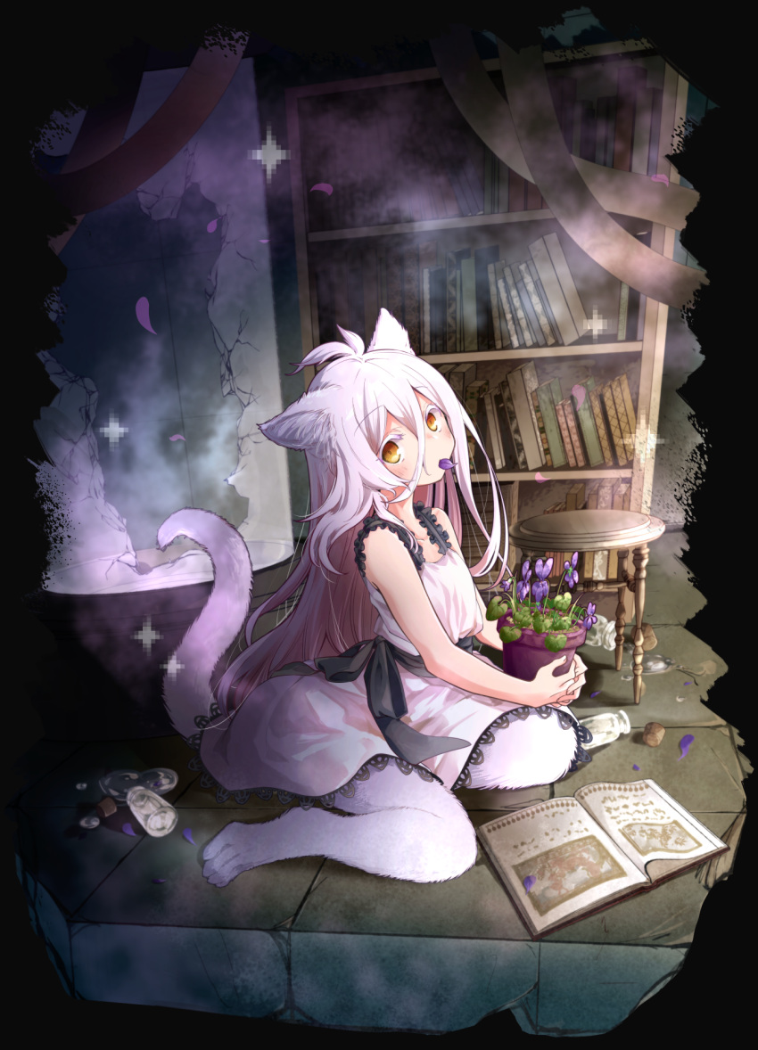 1girl animal_ears animal_feet book bookshelf cat_ears cat_girl cat_tail dress highres long_hair looking_at_viewer mono_(nekogoya) mouth_hold on_ground open_book original petal_in_mouth plant potted_plant sash sleeveless sleeveless_dress stool tail white_dress white_hair yellow_eyes