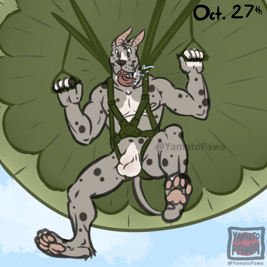 1:1 2018 5_fingers abs animal_genitalia ankle_tuft anthro areola artist_logo artist_name balls biceps big_balls biped bodily_fluids canid canine canis detached_sheath digitigrade domestic_dog drooling english_text falling fingers fully_sheathed fur genitals grasp great_dane green_eyes grey_body grey_fur hi_res leg_tuft lewdtober logo low-angle_view male mammal mastiff molosser multicolored_body muscular muscular_anthro muscular_male nude parachute parachuting pawpads pink_areola pink_pawpads prick_ears raised_arm raised_arms saliva sheath skydiving solo spots spotted_body spotted_fur spread_legs spreading straps straps_across_chest tagme text tongue tongue_out tuft watermark white_balls white_body white_fur white_sheath worm's-eye_view yamatopawa