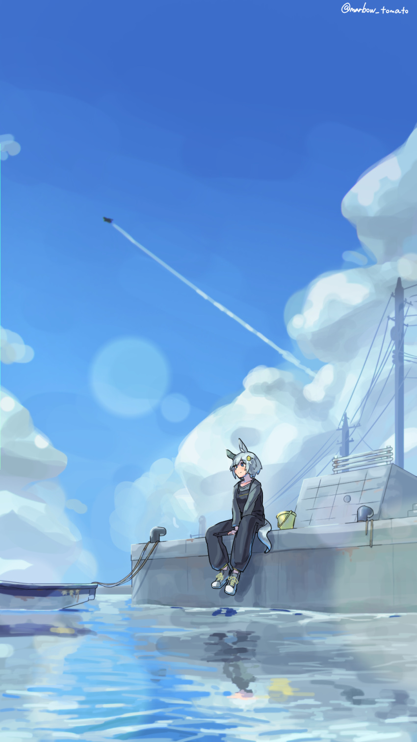 1girl aircraft airplane animal_ears blue_eyes blue_sky bucket closed_mouth cloud cloudy_sky commentary_request dock ear_covers grey_hair hair_ornament hairclip highres horse_ears horse_girl horse_tail jet lens_flare marbow_tomato ocean outdoors overalls reflection reflective_water seiun_sky_(umamusume) shoes short_hair single_ear_cover sitting sky smile sneakers solo tail umamusume utility_pole water white_footwear