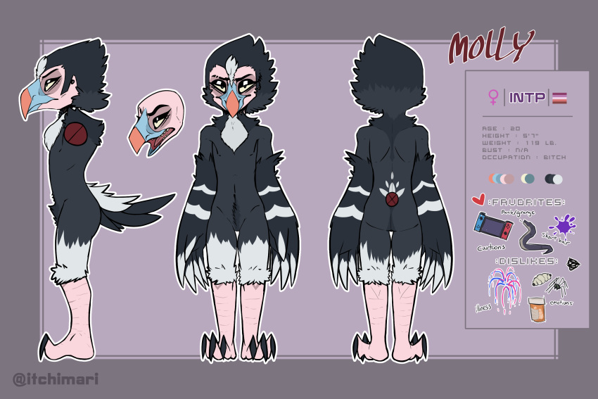 accipitrid accipitriform anthro avian bird breastless_female eyeshadow feather_hands feathers female frown headshot hi_res itchi makeup model_sheet old_world_vulture open_mouth solo teeth vulture white-headed_vulture