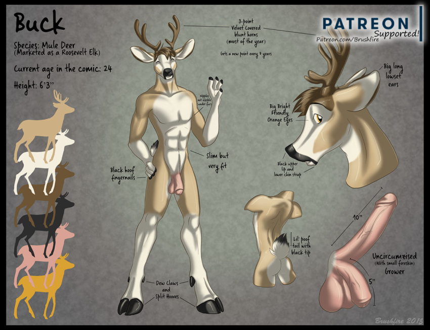 anthro antlers balls black_hooves brushfire buck_(brushfire) butt deer erection flaccid foreskin fur genitals hooves horn humanoid_genitalia humanoid_penis male mammal model_sheet mule_deer new_world_deer nude orange_eyes penis pink_balls pink_penis scut_tail short_tail solo standing tail tan_body tan_fur