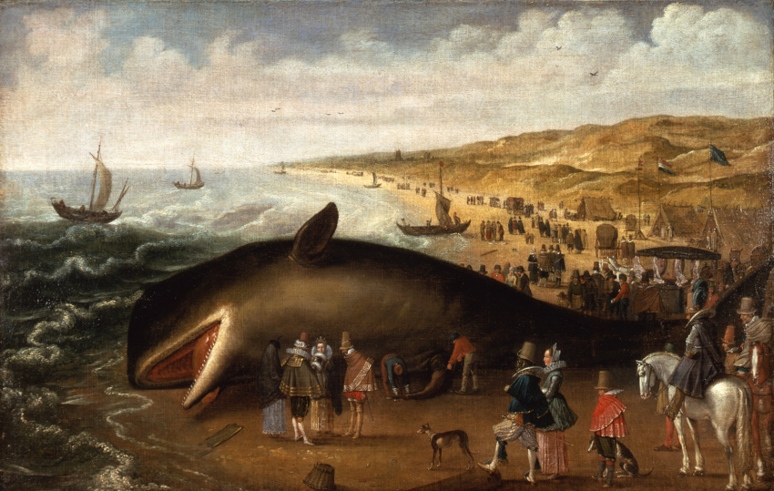 1617 17th_century ambient_bird ambiguous_gender ancient_art animal_genitalia animal_penis avian basket beach beached bird black_body black_fin blue_sky boat canid canine canis carriage cetacean cetacean_genitalia cetacean_penis cloak clothing cloud coat container corpse covered_wagon crowd day domestic_dog dress dutch_flag equid equine esaias_van_de_velde female feral fin flag flag_(object) flagpole genitals group hat headgear headwear hi_res horse human large_group log lying male mammal marine oil_painting_(artwork) on_side open_mouth outside painting_(artwork) pectoral_fin penis physeteroid red_tongue riding ruff_(clothing) sailing_boat sailing_watercraft sand sea seaside shaded sitting sky sperm_whale standing tail tail_fin tapering_penis teeth tent tongue tongue_out toothed_whale topwear traditional_media_(artwork) vehicle water watercraft wave wood