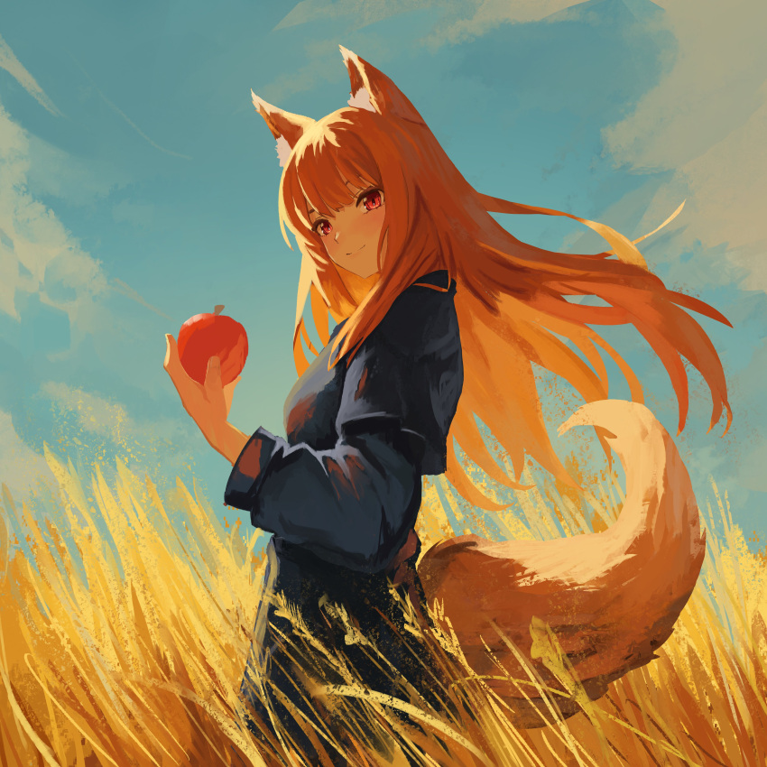 1girl absurdres animal_ear_fluff animal_ears apple blue_shirt blue_skirt blush brown_hair closed_mouth cloud cowboy_shot day floating_hair food from_side fruit hand_up highres holding holding_food holding_fruit holo long_hair long_sleeves outdoors red_eyes shirt skirt smile solo spice_and_wolf split_mouth standing tail wheat_field wolf_ears wolf_girl wolf_tail yan_kodiac