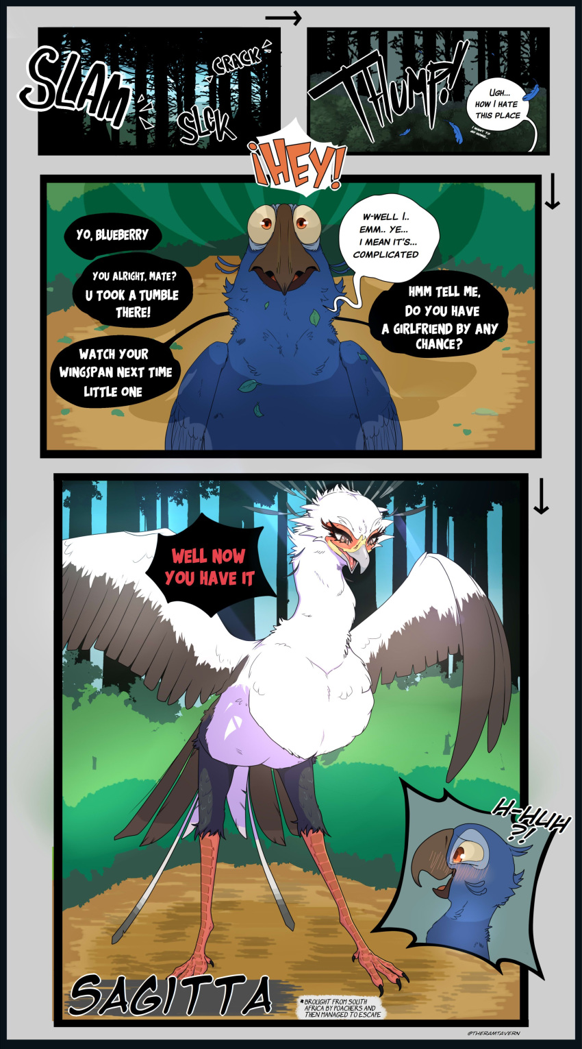 absurd_res accipitriform avian bird blu_(rio) blue_sky_studios blush comic dialogue duo english_text fan_character female feral hi_res larger_female macaw male neotropical_parrot parrot rio_(series) secretary_bird size_difference smaller_male spix's_macaw text theramtavern true_parrot