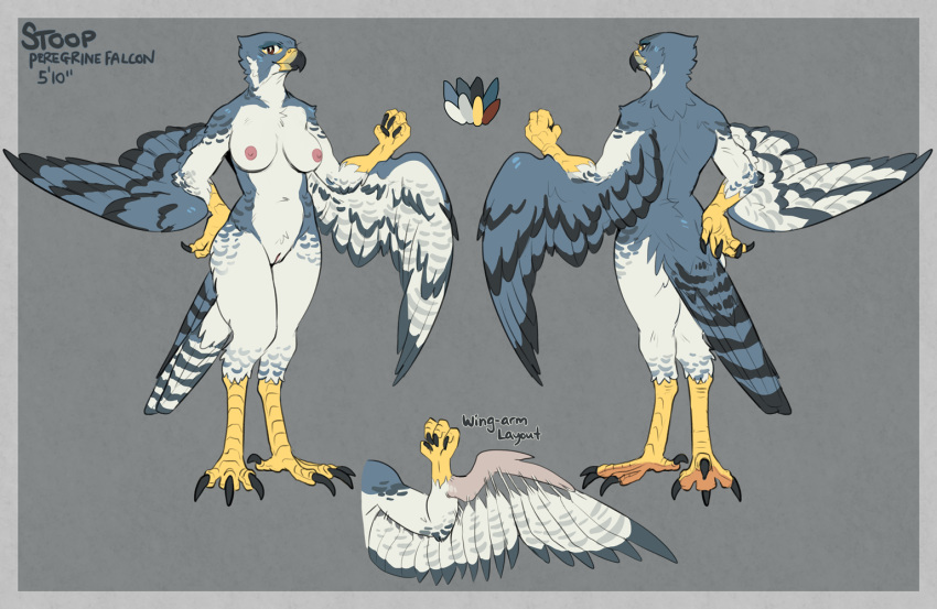 2018 4_fingers 4_toes anisodactyl anthro avian beak bird bird_feet black_body black_feathers blue_body blue_feathers breasts brown_eyes countershading english_text falcon falconid feathers female fingers furikake genitals grey_background hand_behind_back looking_at_viewer model_sheet nipples non-mammal_breasts nude peregrine_falcon pussy scuted_arms simple_background solo spots spotted_body spotted_feathers standing stoop tail_feathers talons text toes white_body white_countershading white_feathers winged_arms wings