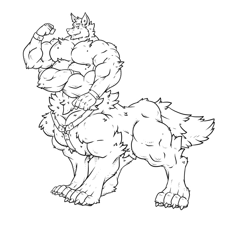 2020 4_arms absurd_res anthro belt big_muscles canid canine canis crossed_arms flexing hi_res line_art looking_at_viewer male mammal monochrome multi_arm multi_limb multifur muscular muscular_male paws rackun smile solo straps taur thick_legs wolf