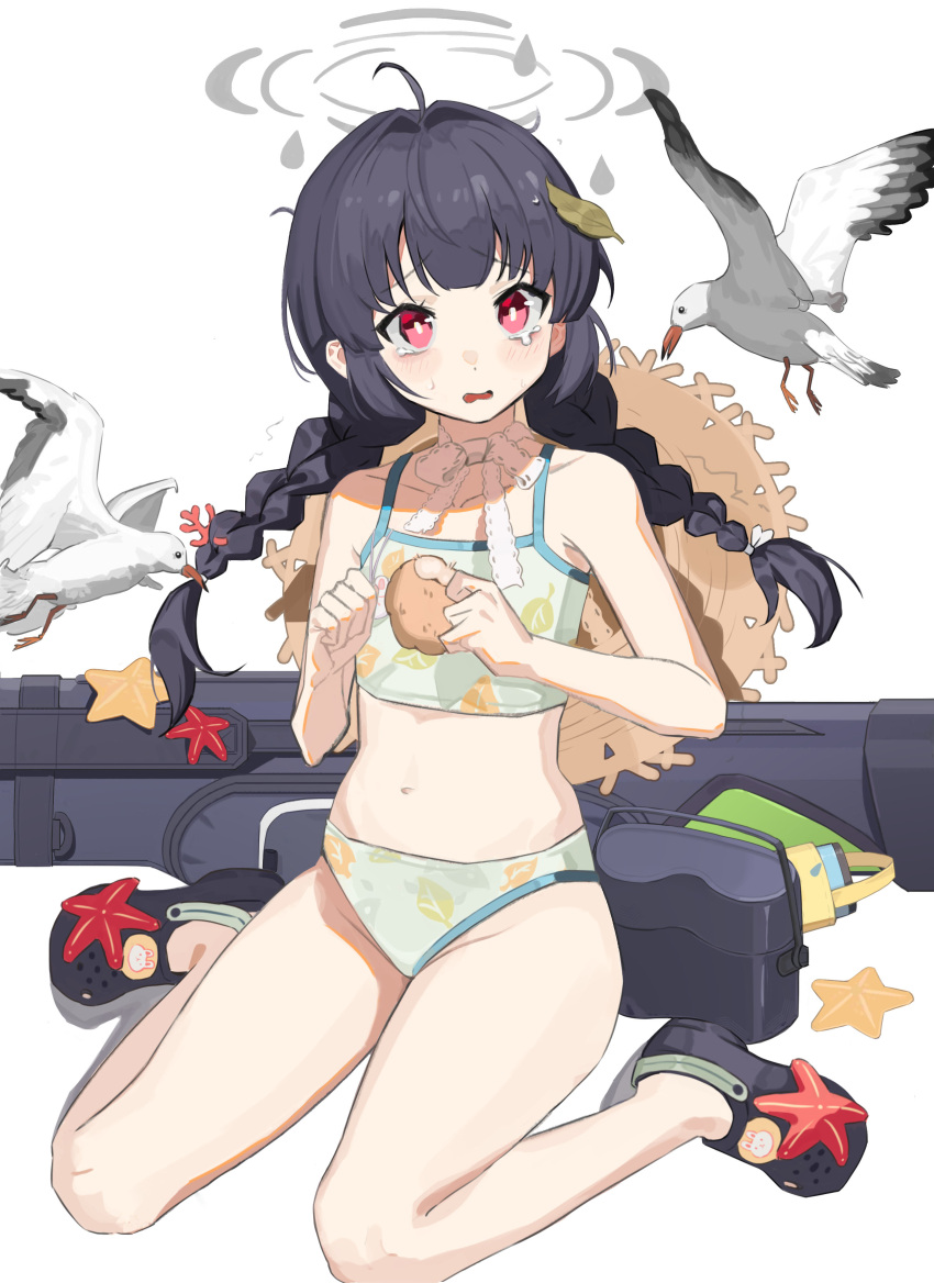 1girl absurdres ahoge bare_shoulders bikini bird black_footwear black_hair blue_archive boller_jiang braid bright_pupils clenched_hands commentary_request crocs crying crying_with_eyes_open dot_nose flat_chest grey_halo hair_intakes halo hat hat_on_back highres leaf leaf_on_head leaf_print long_hair miyu_(blue_archive) miyu_(swimsuit)_(blue_archive) navel official_alternate_costume open_mouth red_eyes seagull sitting solo starfish stomach straw_hat swimsuit tears twin_braids wariza wavy_mouth white_background white_bikini white_pupils