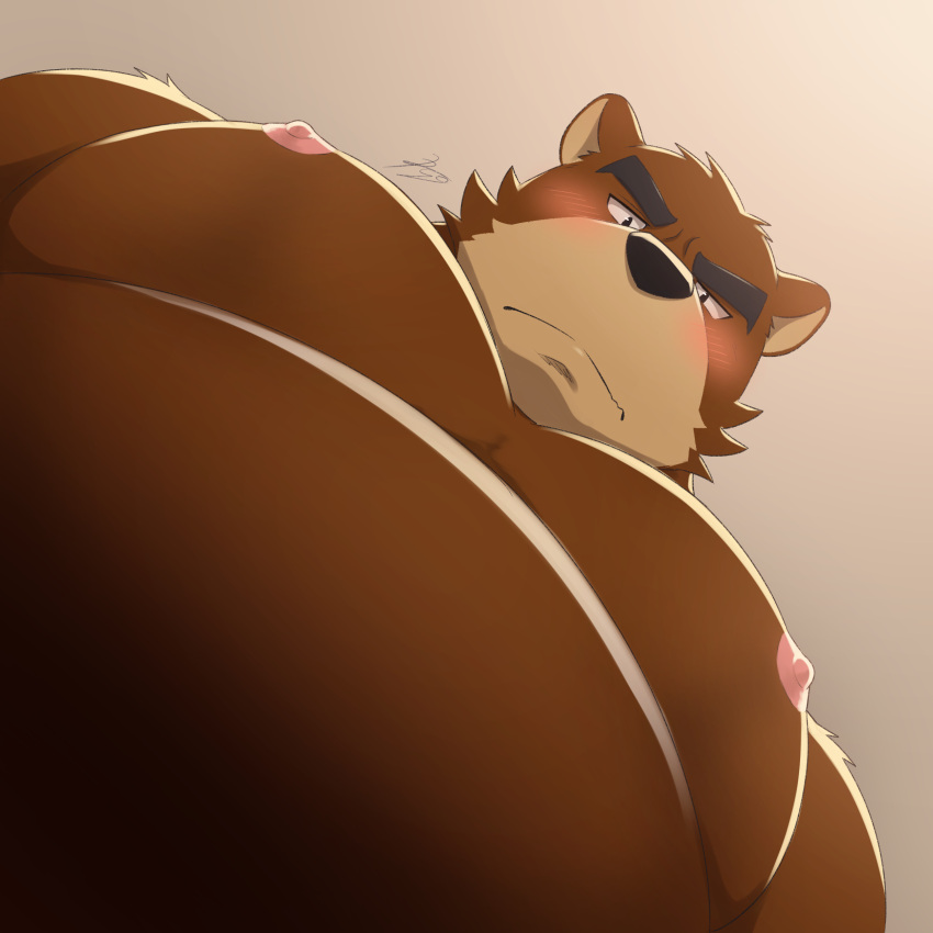 2024 absurd_res anthro bear belly black_bear black_nose blush brown_body brown_fur cheek_tuft clothed clothing countershade_snout countershading facial_tuft fur grey_background hi_res juuichi_mikazuki low-angle_view male mammal moon_bear morenatsu multicolored_body multicolored_fur nipples overweight overweight_anthro overweight_male pec_pov_meme pecs pink_nipples ry_o simple_background snout solo tan_body tan_countershading tan_fur topless topless_anthro topless_male tuft two_tone_body two_tone_fur ursine