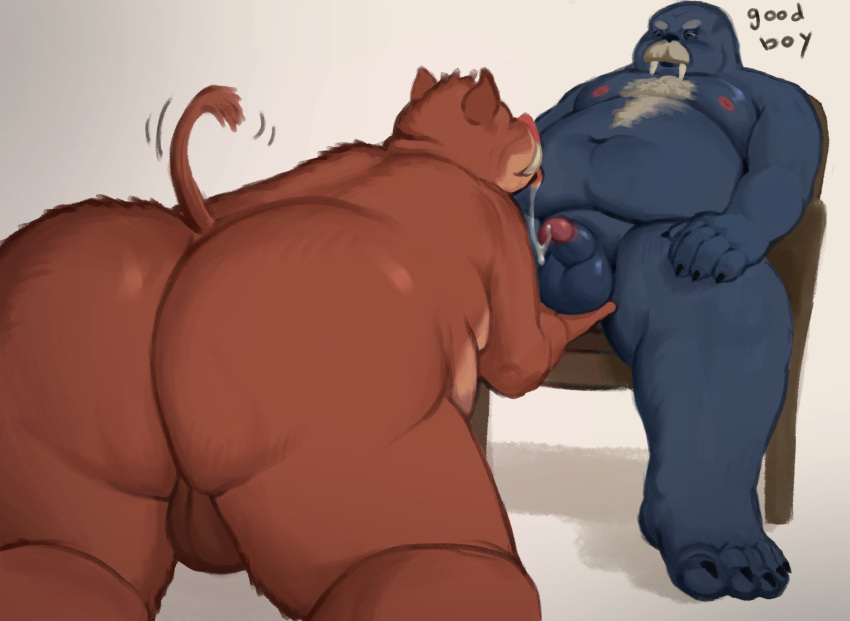 2024 all_fours anthro backsack balls belly big_belly brown_body butt duo erection genitals hi_res kemono male male/male mammal marine moobs nipples overweight overweight_male penis pinniped scottsktch sitting suid suina sus_(pig) walrus wild_boar