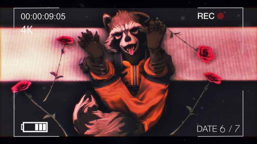 16:9 4k absurd_res anthro bed clothed clothing flower furniture guardians_of_the_galaxy hi_res lying male mammal marvel narrowed_eyes on_back open_mouth plant presenting procyonid raccoon rocket_raccoon rose_(flower) solo squint twopapers widescreen