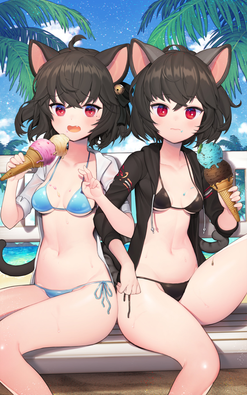 animal_ears bikini blade_&amp;_soul nekomimi swimsuits tagme