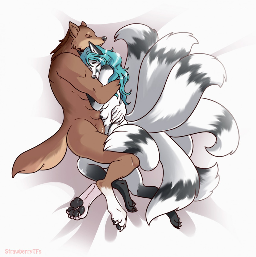 aleu_moonshadow anthro breasts canid canine canis cohasset cuddling fox hi_res intersex intersex/intersex intimate mammal multi_breast multi_tail nikorokumitsero strawberrytfs were werecanid werecanine werewolf wolf