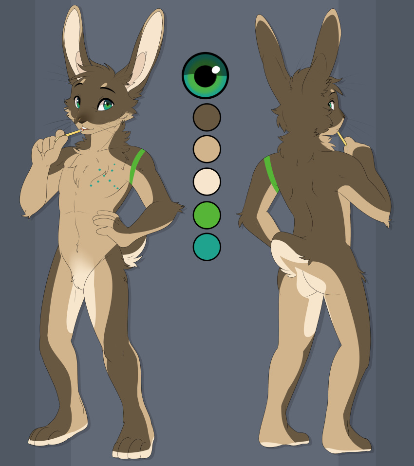 absurd_res anthro big_ears brown_body brown_fur featureless_crotch feve front_view fur hi_res lagomorph leporid male mammal model_sheet natural_colors neck_tuft pencil_(object) rabbit rear_view russec solo standing tan_body tan_fur tuft