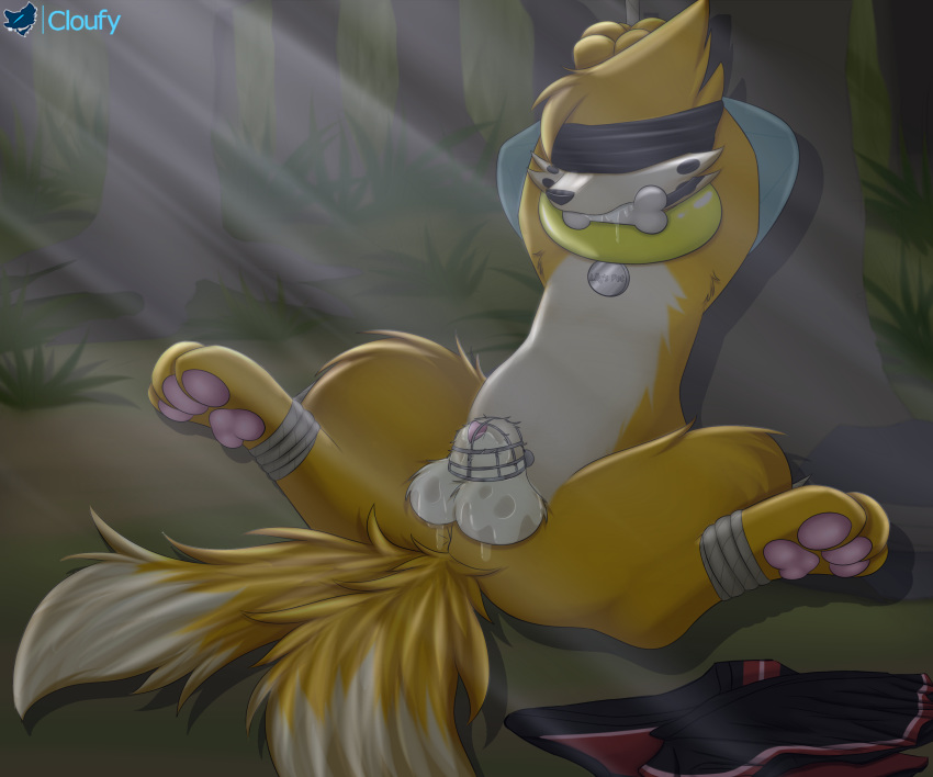 2_tails absurd_res anus balls bdsm blindfold bondage bone_gag bound buizel chastity_cage chastity_device cloufy fur gag gagged genitals grass hi_res male multi_tail nintendo orange_body orange_fur orange_tail pawpads pok&eacute;mon pok&eacute;mon_(species) rope solo spread_legs spreading submissive submissive_male tree two_tail video_games