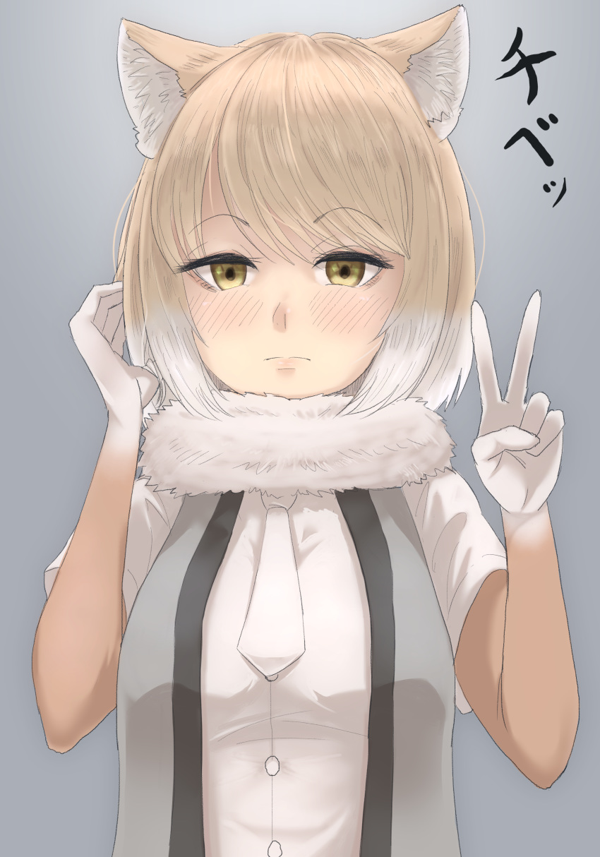 1girl absurdres animal_ears bangs blush buttons clip_studio_paint_(medium) closed_mouth elbow_gloves eyebrows_visible_through_hair fox_ears fox_girl fur_collar gakukuru gloves grey_background hands_up highres kemono_friends light_brown_hair looking_at_viewer medium_hair multicolored_hair necktie open_clothes open_vest parted_bangs shirt simple_background solo tibetan_sand_fox_(kemono_friends) two-tone_hair upper_body v vest white_hair yellow_eyes