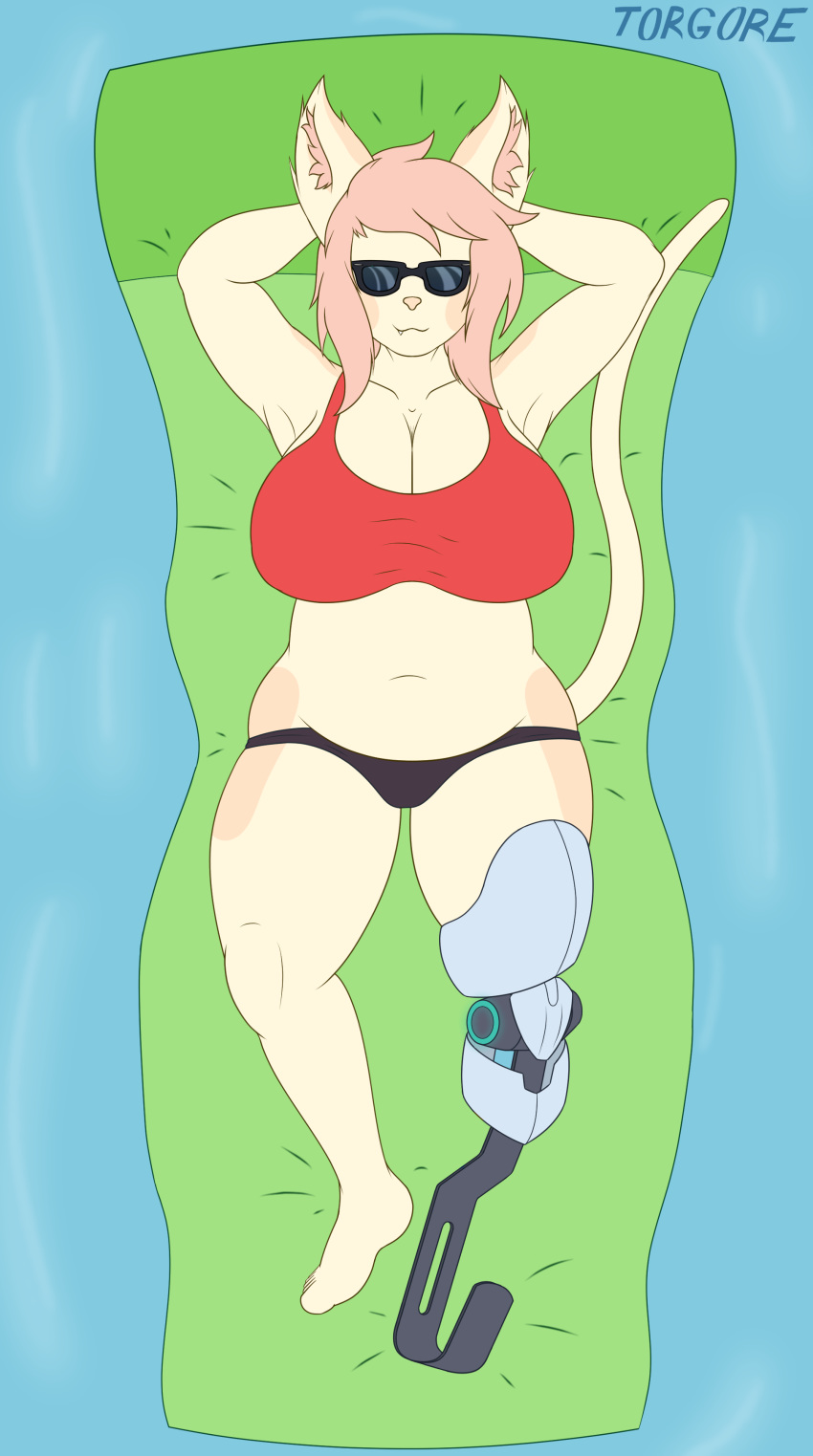 absurd_res amputee anthro big_breasts bikini breasts capri clothing disability domestic_cat eyewear felid feline felis female fur hair hi_res mammal pink_hair pool_float prosthetic prosthetic_leg prosthetic_limb slightly_chubby solo sunglasses swimwear tan_body tan_fur torgore water