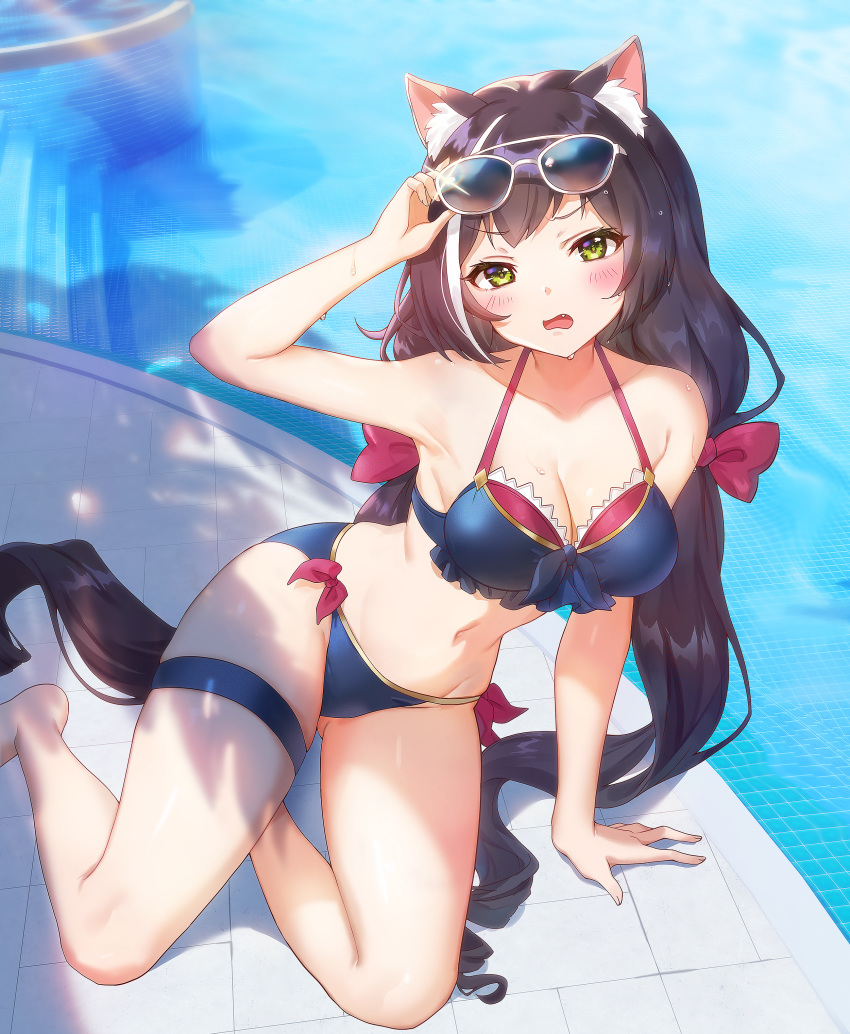 animal_ears kyaru_(princess_connect) megane nekomimi pn_(wnsl216) princess_connect princess_connect!_re:dive tagme