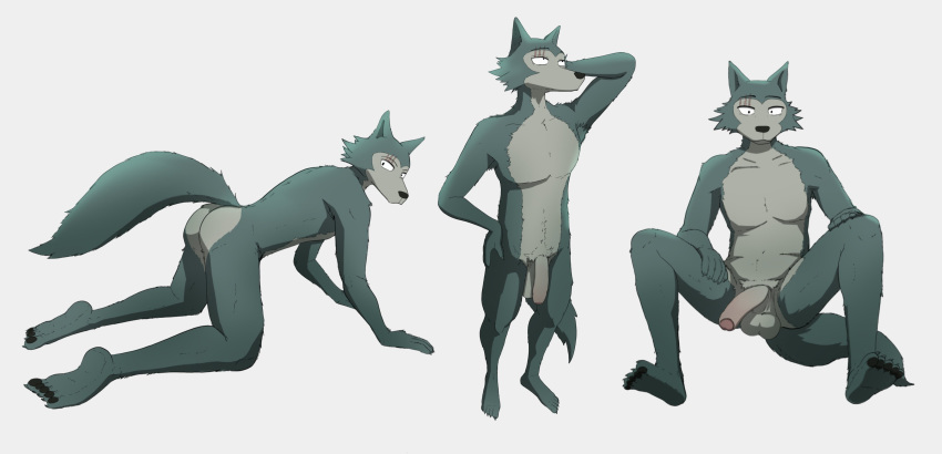 2020 absurd_res all_fours anthro armpit_hair balls beastars body_hair butt canid canine canis delirost flaccid fur genitals grey_body grey_fur hand_behind_head hi_res humanoid_genitalia humanoid_penis legoshi_(beastars) male mammal multiple_poses nude partially_retracted_foreskin penis pose presenting presenting_hindquarters presenting_penis scar sitting solo spread_legs spreading standing uncut wolf