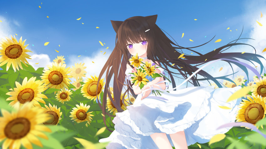 1girl absurdres animal_ears bangs bare_shoulders blue_flower blue_sky brown_hair cat_ears cloud collarbone commentary_request day detached_sleeves dress eyebrows_visible_through_hair flower frilled_dress frills fufumi hair_ornament hairclip highres long_hair mouth_hold object_hug original outdoors petals pink_flower puffy_short_sleeves puffy_sleeves purple_eyes purple_flower short_sleeves sky solo sunflower very_long_hair white_dress white_sleeves yellow_flower