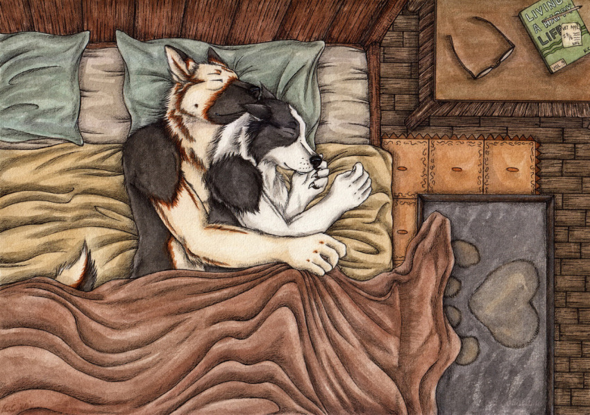 anthro bed bed_sheet bedding book border_collie canid canine canis collie cuddling domestic_dog duo eyewear floor_mat furniture german_shepherd glasses herding_dog kola_(artist) male male/male mammal nightstand on_bed pastoral_dog pillow sheepdog sleeping spooning under_covers wood_floor