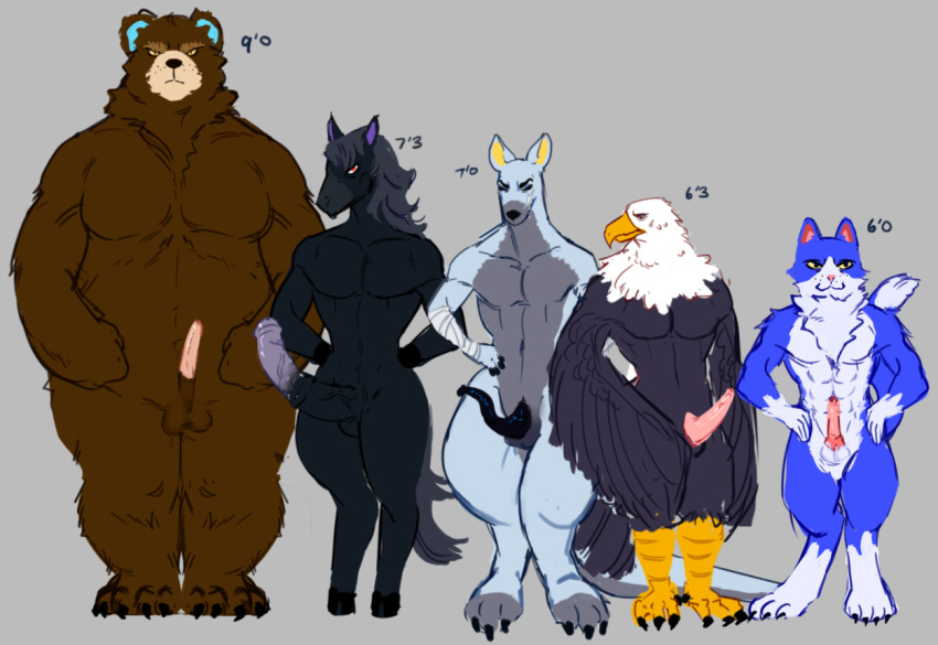 2020 accipitrid accipitriform animal_crossing anthro apollo_(animal_crossing) avian balls bird blue_body blue_fur brown_body brown_fur domestic_cat eagle equid equine erection felid feline felis fur genitals grizzly_(animal_crossing) group horse kangaroo macropod male mammal marsupial muscular nintendo overweight overweight_male penis roscoe_(animal_crossing) sebiv simple_background tom_(animal_crossing) ursid video_games walt_(animal_crossing) white_body white_fur