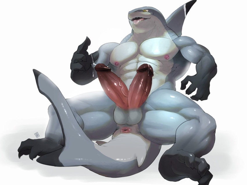 3_toes 4_fingers abs anthro anus balls bodily_fluids claws diphallism dorsal_fin dripping fin fingers fish genital_fluids genitals horizontal_diphallism humanoid_genitalia humanoid_penis katabreak male marine multi_genitalia multi_penis multicolored_body muscular muscular_anthro muscular_male nipples nude open_mouth pecs penis pink_anus pink_nipples precum precum_drip precum_string shark sharp_teeth simple_background solo sweat tail_fin teeth toe_claws toes tongue tongue_out vein white_background