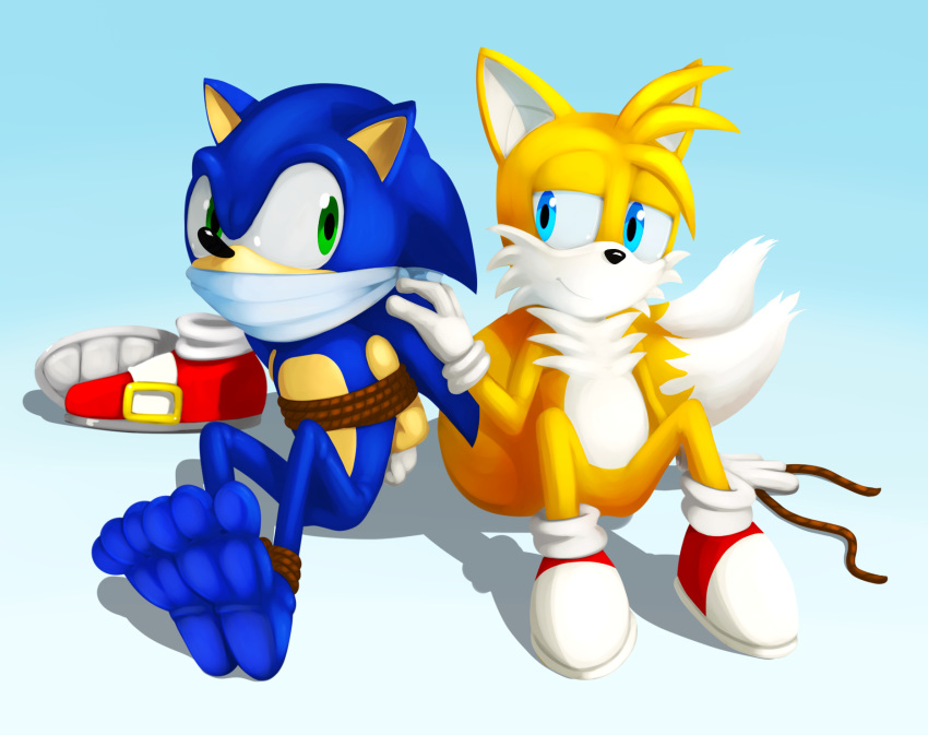 2_tails 3_toes anthro barefoot bdsm bondage bound canid canine dipstick_tail duo eulipotyphlan fox gag gradient_background hedgehog hi_res male mammal miles_prower multi_tail multicolored_tail rope rope_bondage simple_background sitting smile sonic_the_hedgehog sonic_the_hedgehog_(series) toes whistleristler