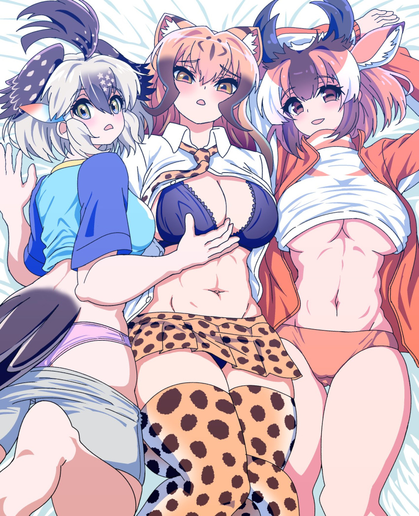 3girls abs animal_ears animal_print arms_behind_head arms_up ass back bangs bike_shorts bird_tail black_bra black_hair black_panties bra breasts brown_eyes brown_hair buruma cheetah_(kemono_friends) cheetah_ears cheetah_print cleavage clothes_lift collared_shirt extra_ears eyebrows_visible_through_hair flat_ass from_above furrowed_eyebrows greater_roadrunner_(kemono_friends) grey_hair hair_between_eyes hair_tubes hand_on_another's_chest highres horizontal_pupils horns jacket kemono_friends large_breasts light_brown_hair long_hair long_sleeves looking_at_viewer lying medium_hair multicolored_hair multiple_girls navel necktie no_bra on_back on_side open_clothes open_mouth open_shirt orange_hair panties pink_panties print_legwear print_skirt pronghorn_(kemono_friends) quatre_aaaa shirt short_sleeves shorts shorts_pull side-by-side skirt smile sportswear stomach sweater sweater_lift tail thigh_gap toned track_jacket underboob underwear white_hair wing_collar yellow_eyes