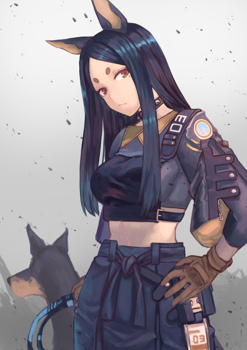 1girl animal_ears arknights black_hair black_shirt breasts collar doberman dobermann_(arknights) dog dog_ears dog_girl gloves highres holding_whip janoukyo19 long_hair looking_at_viewer midriff shirt solo whip