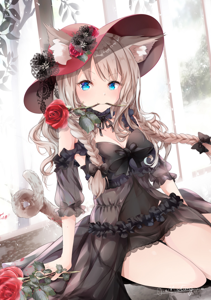 1girl absurdres animal_ear_fluff animal_ears arm_support artist_name bangs black_bow black_dress black_flower black_sleeves blue_eyes bow braid breasts brown_hair cat_ears cat_girl cat_tail cleavage closed_mouth commentary_request detached_sleeves dress eyebrows_visible_through_hair flower flower_in_mouth hair_bow hat hat_flower highres long_hair looking_at_viewer mouth_hold mutang original red_flower red_headwear red_rose rose see-through see-through_sleeves short_sleeves signature sitting small_breasts smile solo tail twin_braids very_long_hair window yokozuwari