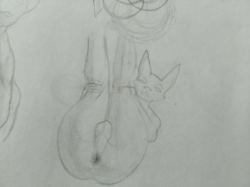 anal anthro balls butt genitals hi_res human male mammal on penis photo pierochan solo unknown_artist whole