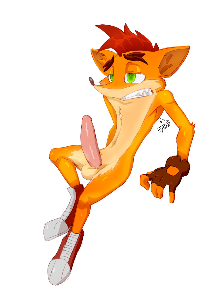 absurd_res activision anthro bandicoot clothing crash_bandicoot crash_bandicoot_(series) erection footwear genitals gloves handwear hi_res jaynatorburudragon male mammal marsupial nude penis shoes simple_background solo video_games white_background