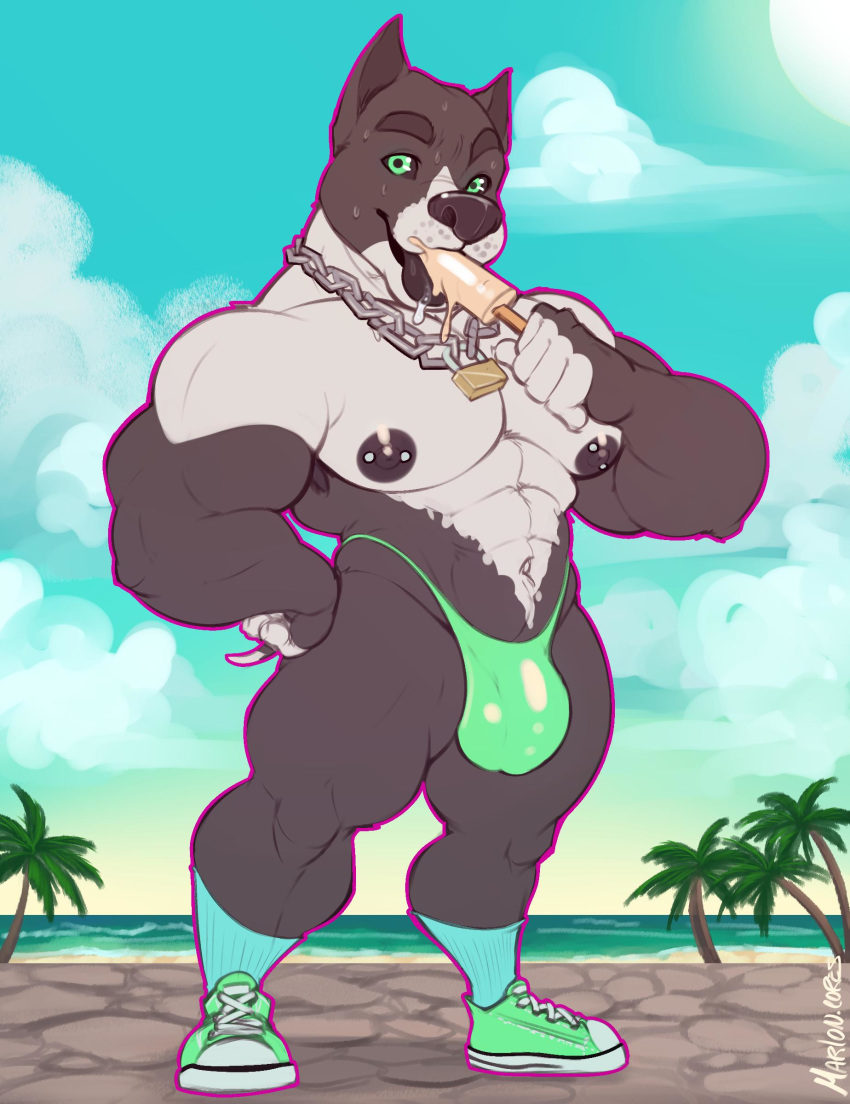 2019 abs absurd_res anthro armpit_hair beach big_muscles big_pecs bodily_fluids body_hair bulge canid canine canis chain_necklace clothing cloud daxx_(shirteater18) dessert detailed detailed_background domestic_dog food footwear hand_on_hip hi_res ice_cream legwear lock looking_at_viewer male mammal marlon.cores muscular muscular_anthro muscular_male navel nipple_piercing nipples outside palm_tree pecs piercing pit_bull popsicle popsicle_melting seaside shirteater18 shoes sky socks solo standing sucking summer sweat thong tongue tongue_out tree underwear water