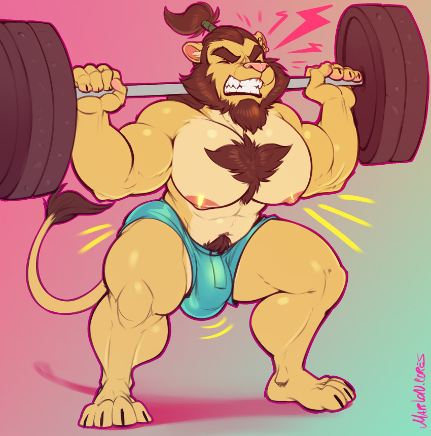 2020 abs absurd_res anthro barazoku beard biceps big_pecs body_hair bottomwear bulge chest_hair clenched_teeth clothed clothing emanata exercise eyes_closed facial_hair felid gradient_background hair hi_res hotpants lion male mammal mane marlon.cores muscular muscular_anthro muscular_male nipples pantherine pecs ponytail pubes quads shang shorts signature simple_background solo squats teeth topless topless_male weightlifting workout