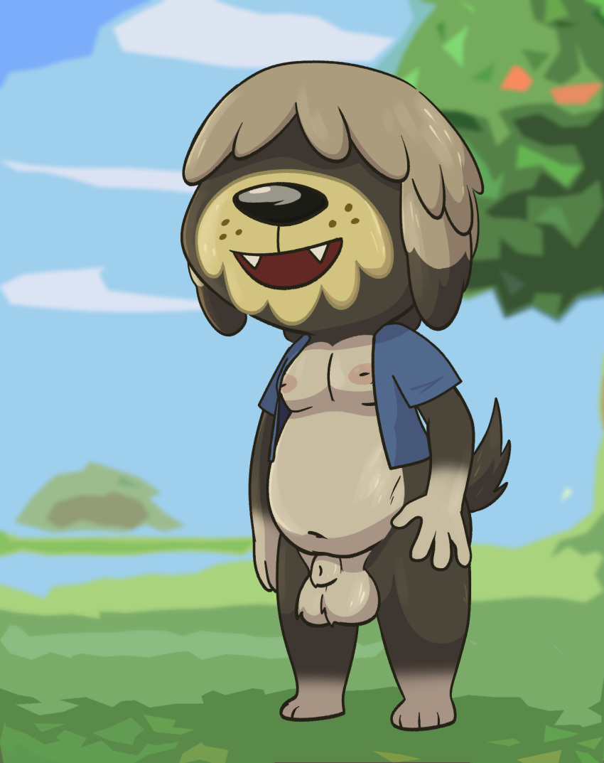 animal_crossing animal_genitalia anthro balls bottomless canid canine canis casual_nudity clothed clothing crushpepper domestic_dog fur genitals grey_body grey_fur hair_over_eyes herding_dog hi_res ineffective_clothing male mammal nintendo nipples outside pastoral_dog sheepdog shep_(animal_crossing) solo topwear vest video_games