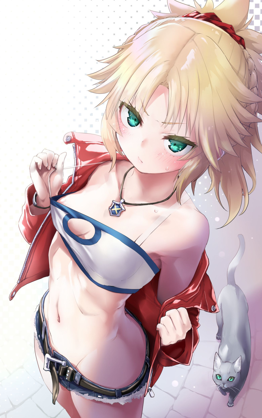 1girl absurdres animal areolae bare_shoulders belt blonde_hair blue_shorts braid breasts cat closed_mouth collarbone cutoffs fate/apocrypha fate_(series) frown green_eyes groin hair_ornament hair_scrunchie highres jacket jewelry long_hair looking_at_viewer micro_shorts mordred_(fate) mordred_(fate)_(all) mozu_(peth) navel necklace no_panties ponytail red_jacket red_scrunchie scrunchie shorts small_breasts solo standing stomach strapless sweat tubetop