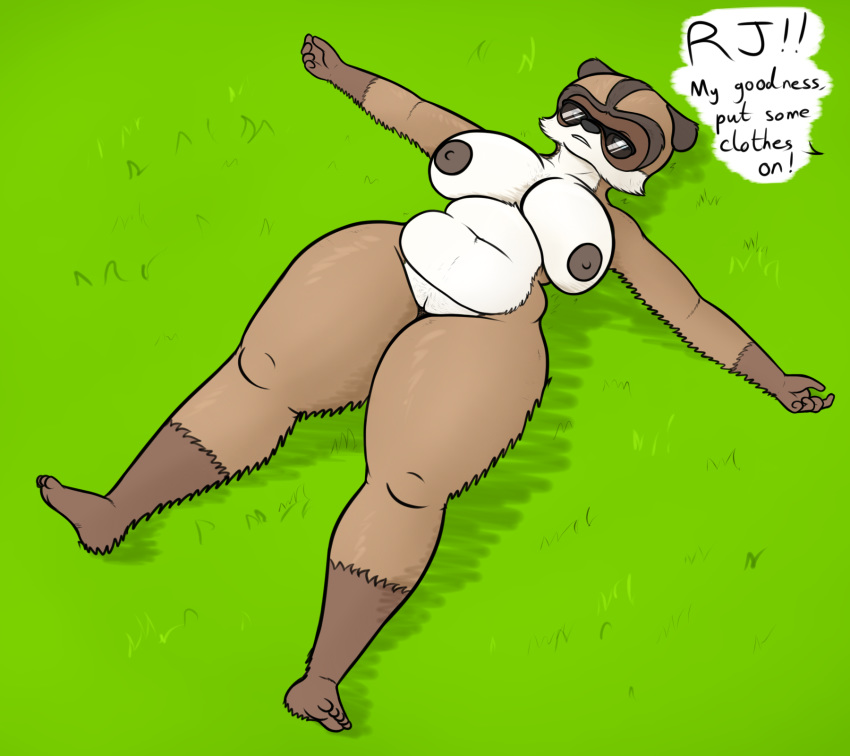 anthro anthrofied belly big_breasts breasts brown_body brown_fur crossgender dreamworks eyewear female fur genitals grass hi_res lying mammal mature_female nipples on_back over_the_hedge oystercatcher7 procyonid pussy raccoon rj_(over_the_hedge) slightly_chubby solo sunglasses thick_thighs