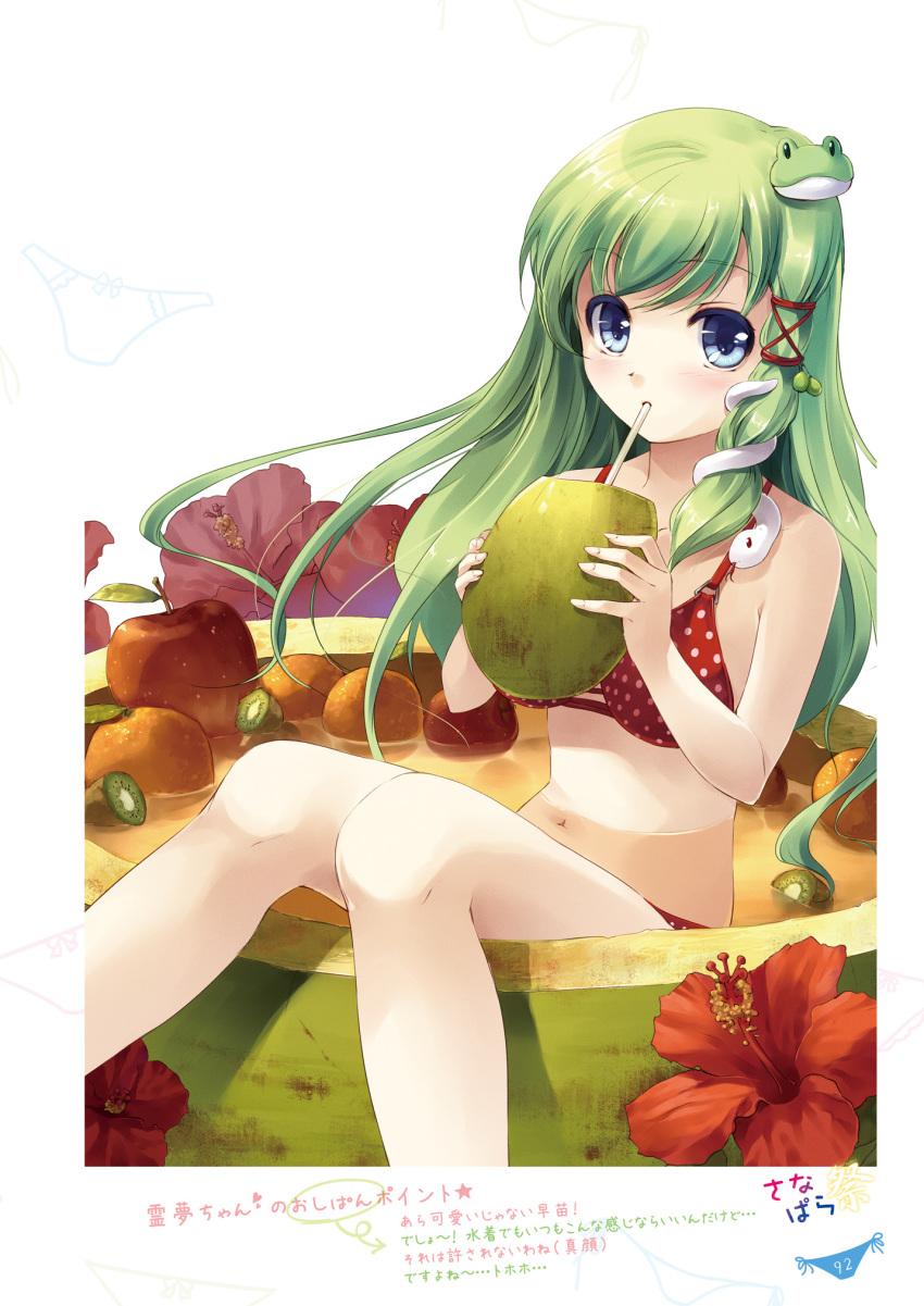 1girl absurdres apple bangs bare_arms bare_shoulders bikini bird blue_eyes breasts coconut drinking drinking_straw eyebrows_visible_through_hair fingernails flower food frog_hair_ornament fruit fruit_cup hair_ornament hibiscus highres holding incredibly_absurdres kiwi kochiya_sanae long_hair looking_at_viewer medium_breasts miyase_mahiro navel orange page_number partially_submerged polka_dot polka_dot_bikini red_bikini shiny shiny_hair simple_background snake_hair_ornament solo stomach swimsuit tied_hair touhou