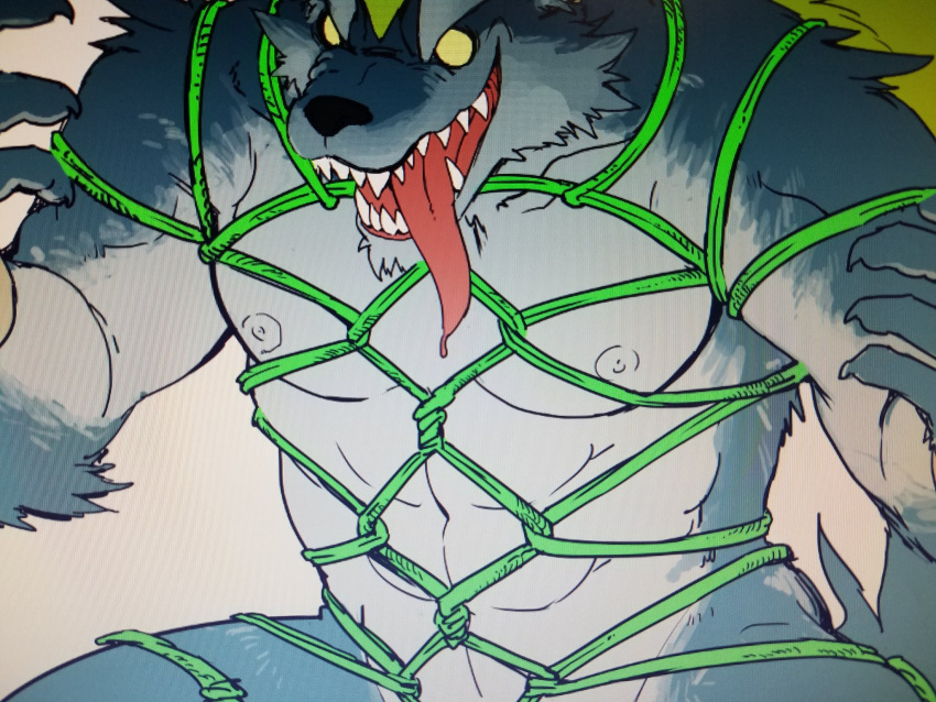 2017 4:3 abs anthro bdsm bondage bound canid canine canis fenrir_(housamo) hi_res kemono male mammal muscular muscular_anthro muscular_male open_mouth sharp_teeth simamanta solo submissive submissive_male teeth tokyo_afterschool_summoners tongue tongue_out video_games wolf