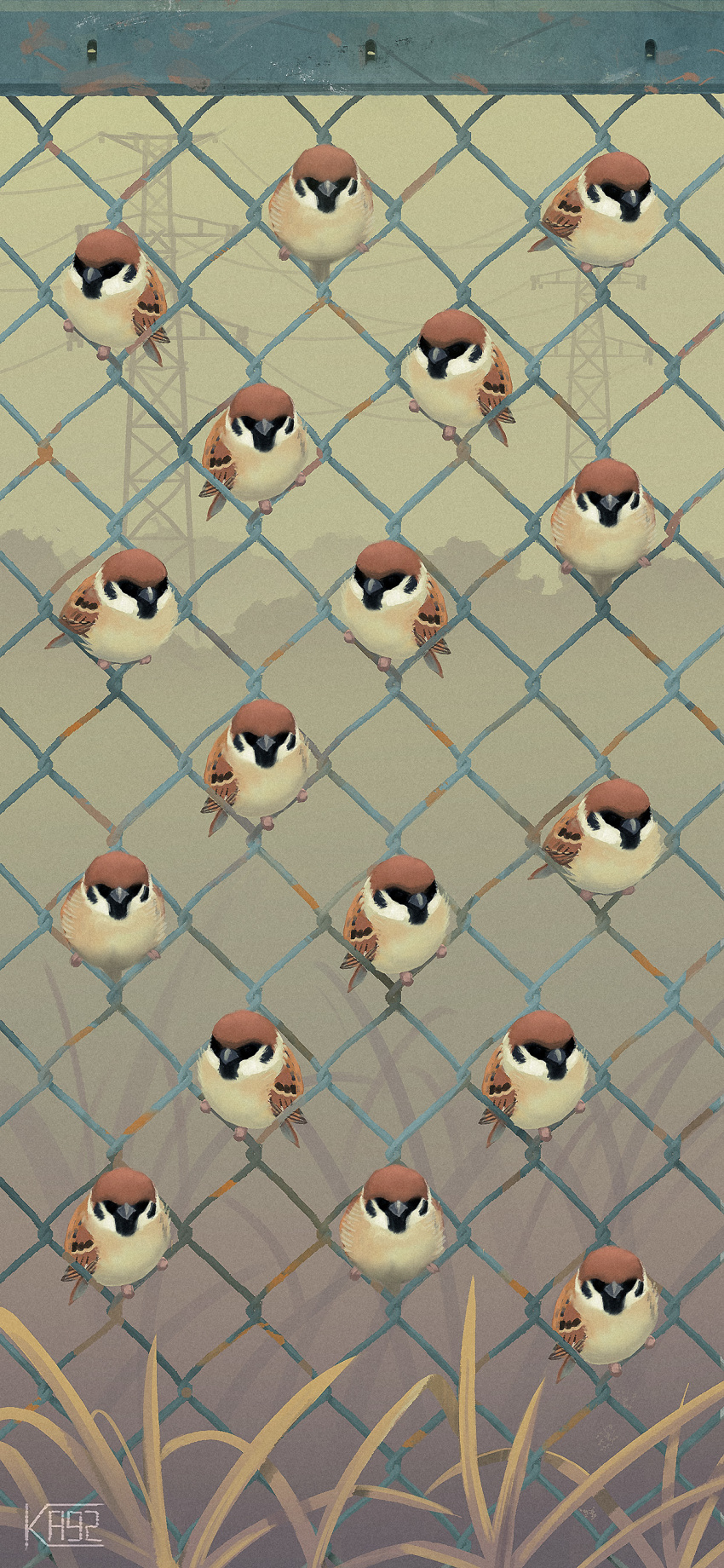 2020 absurd_res ambiguous_gender avian beak bird brown_body brown_feathers chain-link_fence feathers fence feral grass group hi_res ka92 oscine outside passerine perched power_lines sparrow tan_body tan_feathers transmission_tower wallpaper wings
