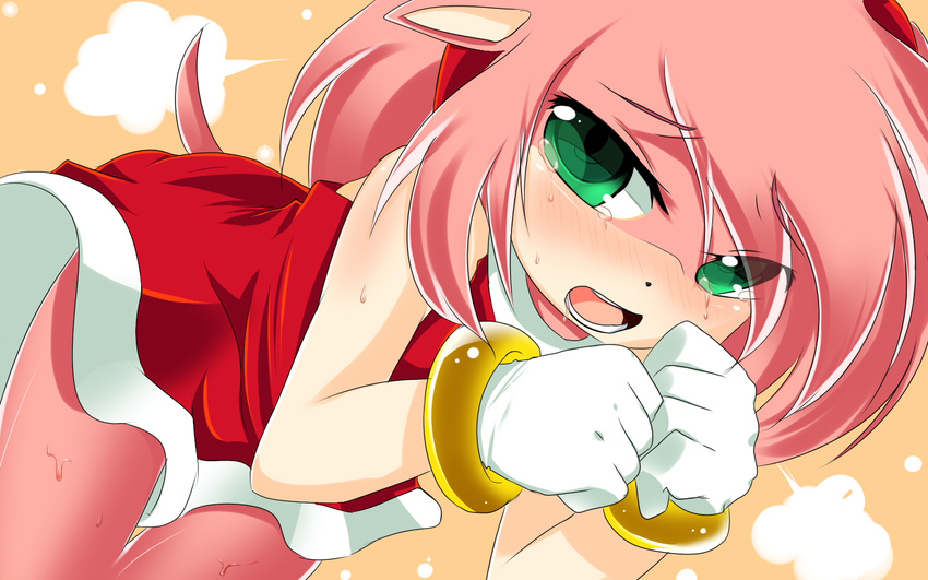 amy_rose blush green_eyes hedgehog highres kandiineko pink red sonic sonic_the_hedgehog sweat tail tongue wallpaper