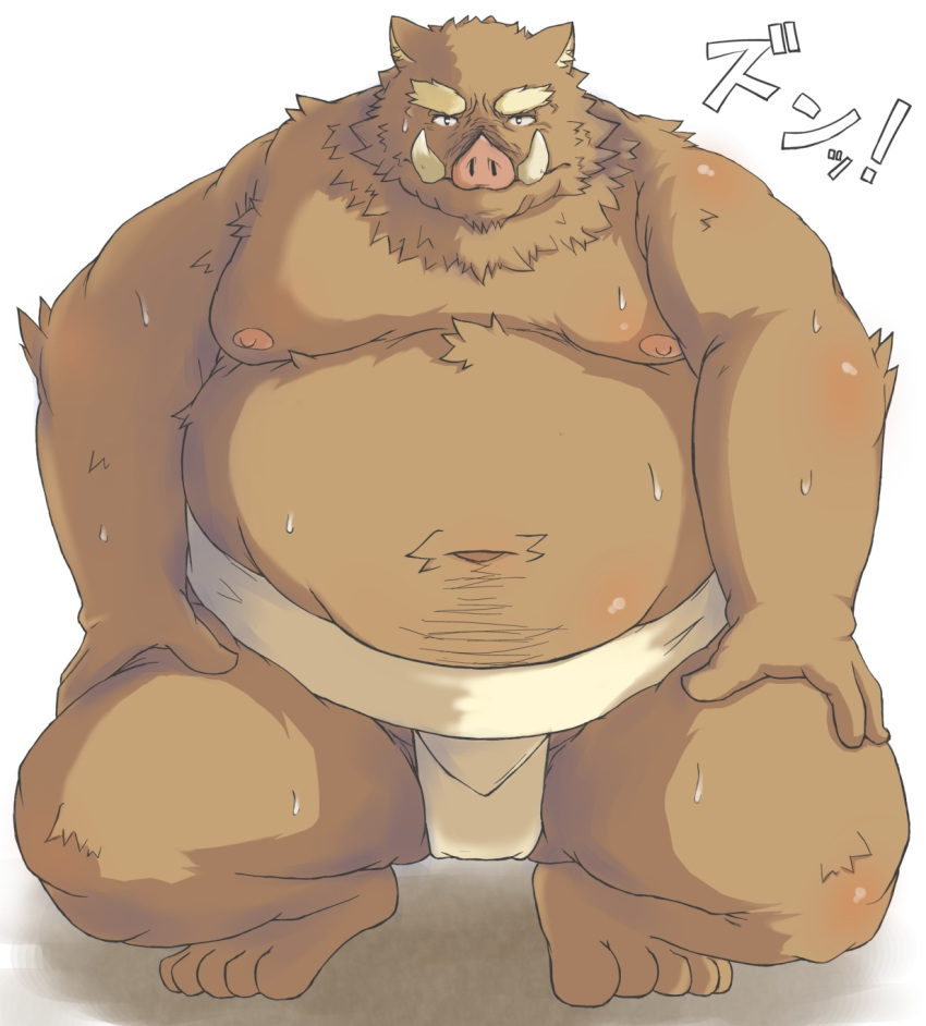 2011 anthro belly bodily_fluids brown_body brown_fur fur hi_res humanoid_hands ibuki_haruno japanese_text kemono male mammal overweight overweight_anthro overweight_male simple_background solo suid suina sumo sus_(pig) sweat text white_background wild_boar