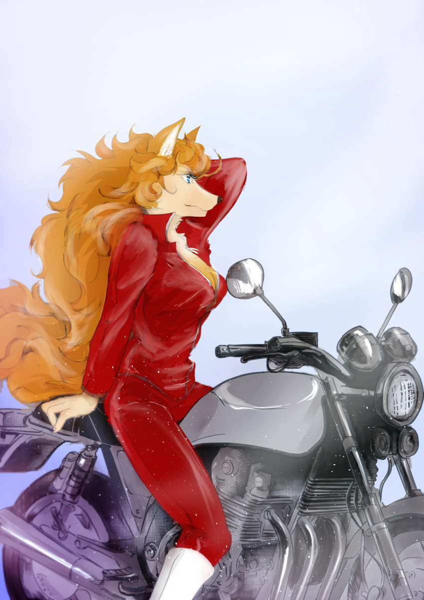 absurd_res anthro big_breasts biker blue_eyes breasts canid canine cleavage clothed clothing female fox fur hair hi_res mammal motorcycle nukisan_wolf orange_hair solo tan_body tan_fur tight_clothing vehicle