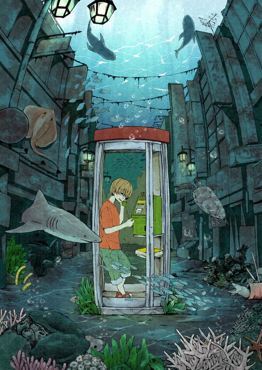 1boy absurdres air_bubble brown_hair bubble building commentary coral corded_phone eel fish green_pants ground_vehicle hair_over_eyes highres holding holding_phone igetarou lamppost motor_vehicle motorcycle ocean original pants pants_rolled_up phone phone_booth red_footwear red_shirt scenery shark shirt short_hair short_sleeves sign standing stingray turtle underwater