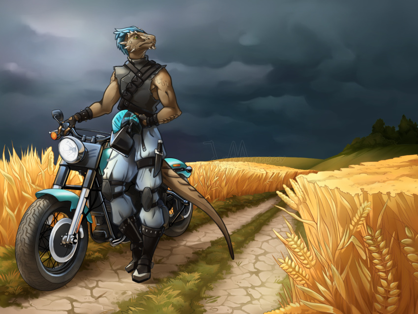 4:3 anthro argonian armor bethesda_softworks biker clothed clothing detailed_background headgear helmet kevintheradioguy male motorcycle scalie scenery solo storm_clouds the_elder_scrolls vehicle video_games